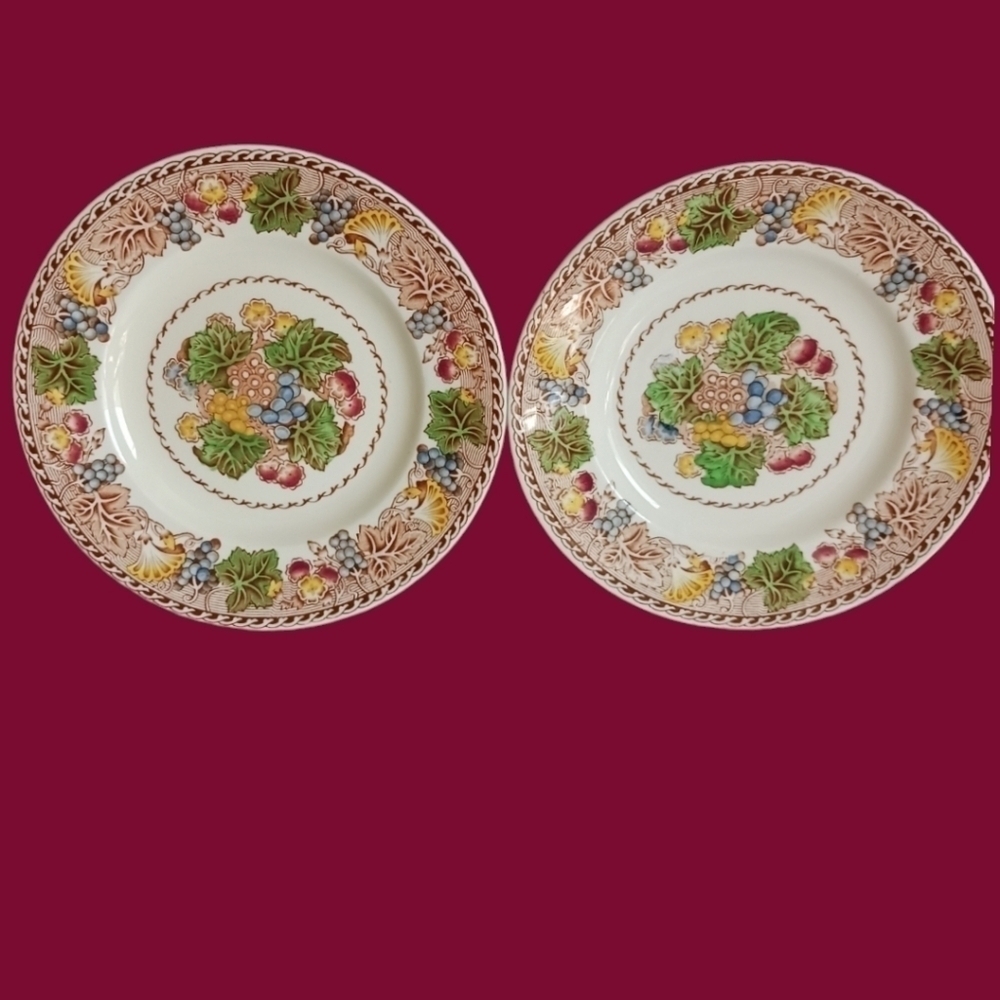 Hyde wood burselm england set of 2 plates